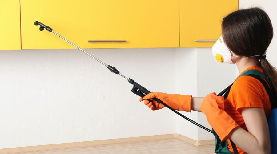 Why choose Karachi Pest  Fumigation Services for mosquito control karachi in Karachi